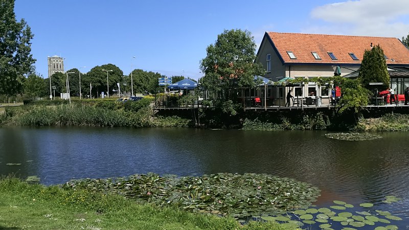 Restaurant Lotus aan het water, met waterlelies op de voorgrond en de toren van Brielle erachter